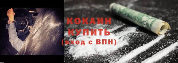 мяу мяу мука Иннополис