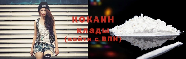 мяу мяу мука Иннополис