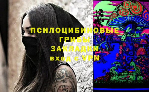 мяу мяу мука Иннополис