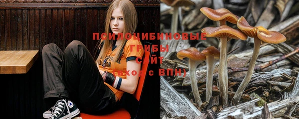 кокс Инта