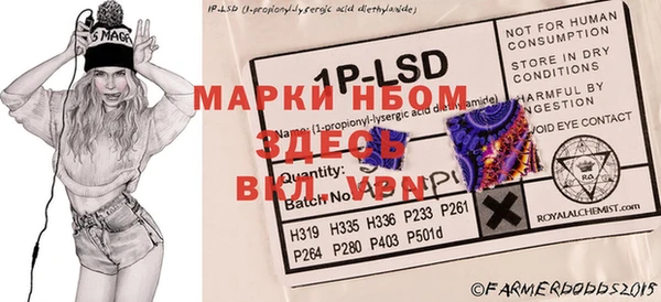мяу мяу мука Иннополис