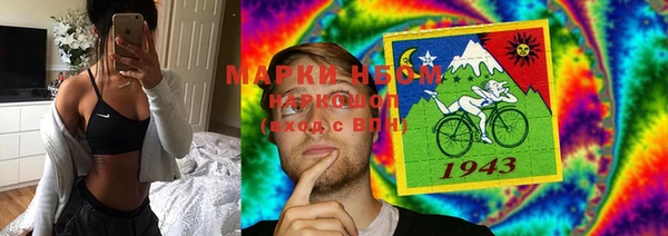 мяу мяу мука Иннополис